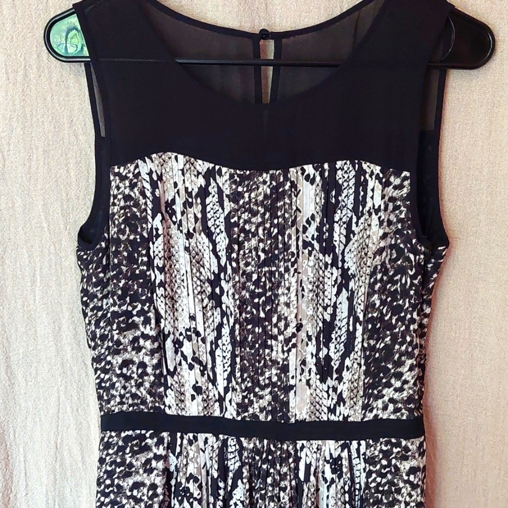 Adrianna Papell dress